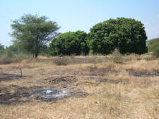 Click for full size image